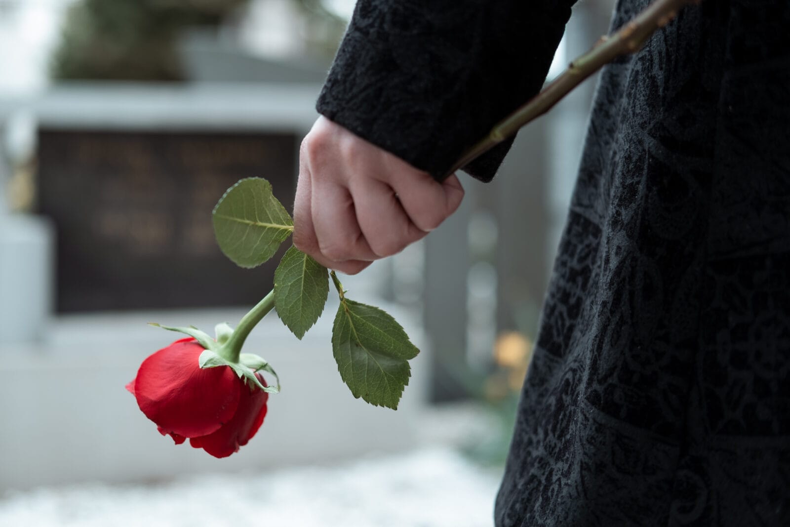 A person wearing black and holding a rose at a graveside.